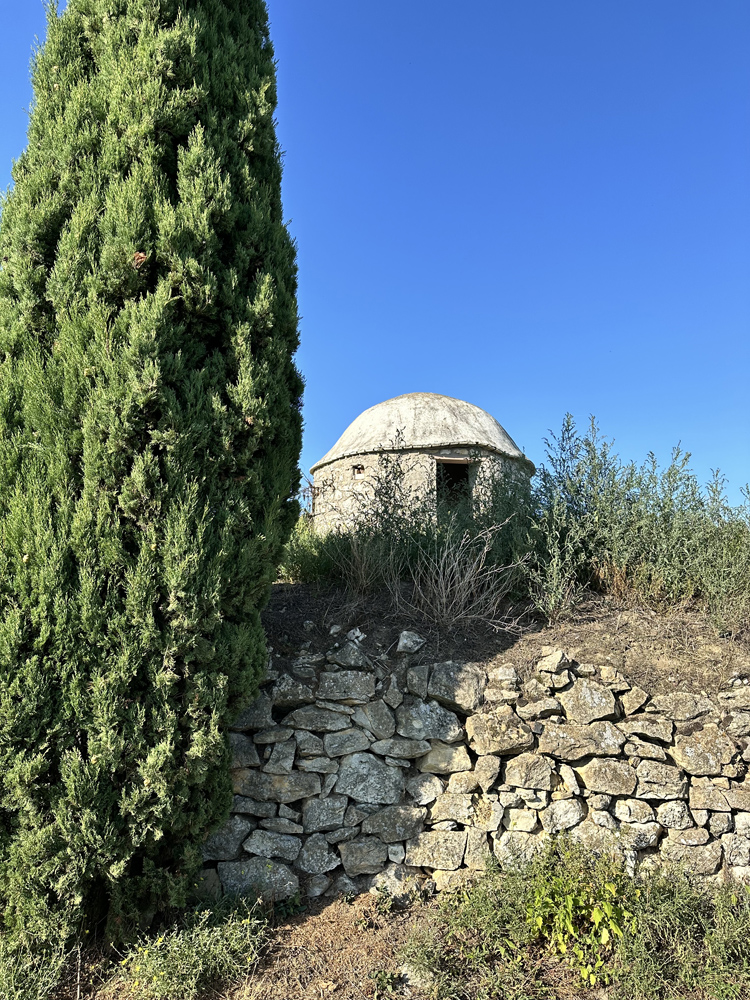 winzertasting weingut wittmann morstein rheinhessen