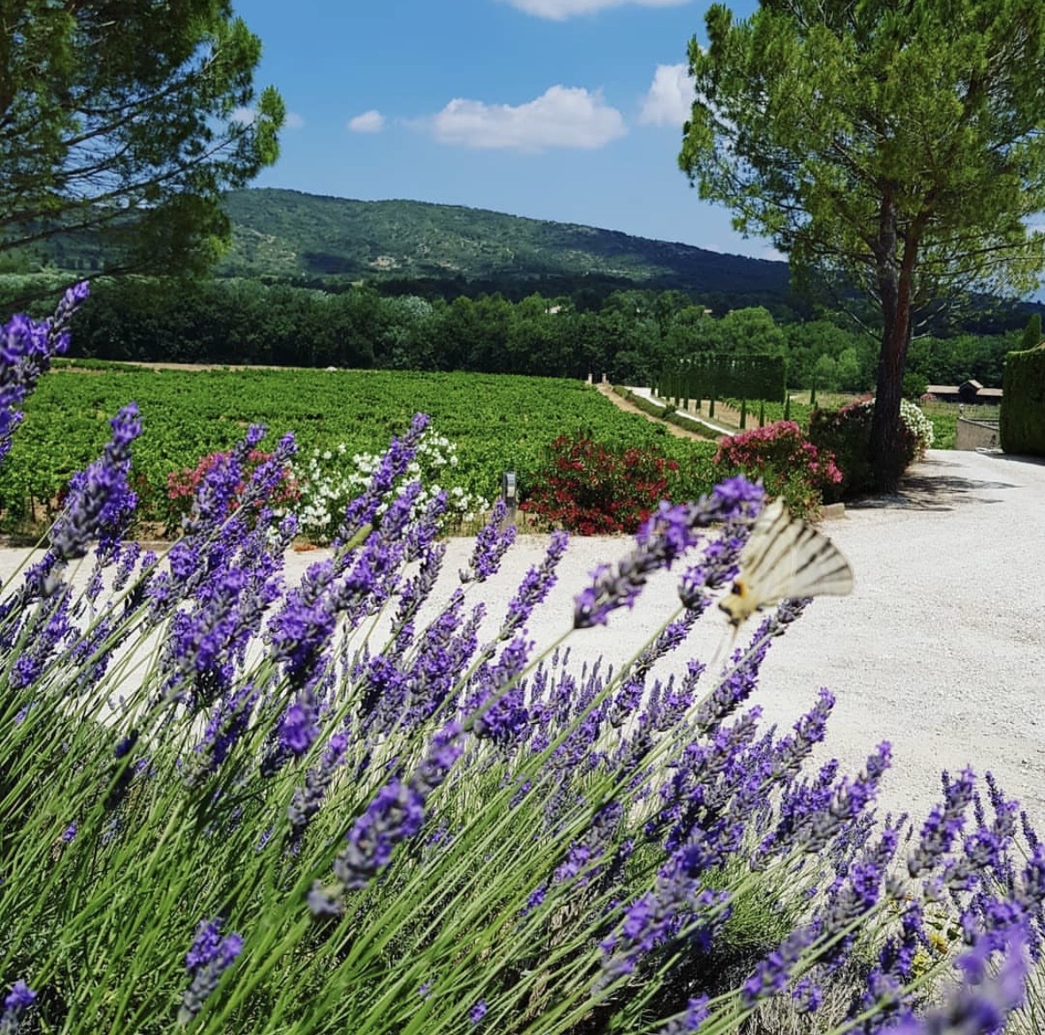 Provence Weine