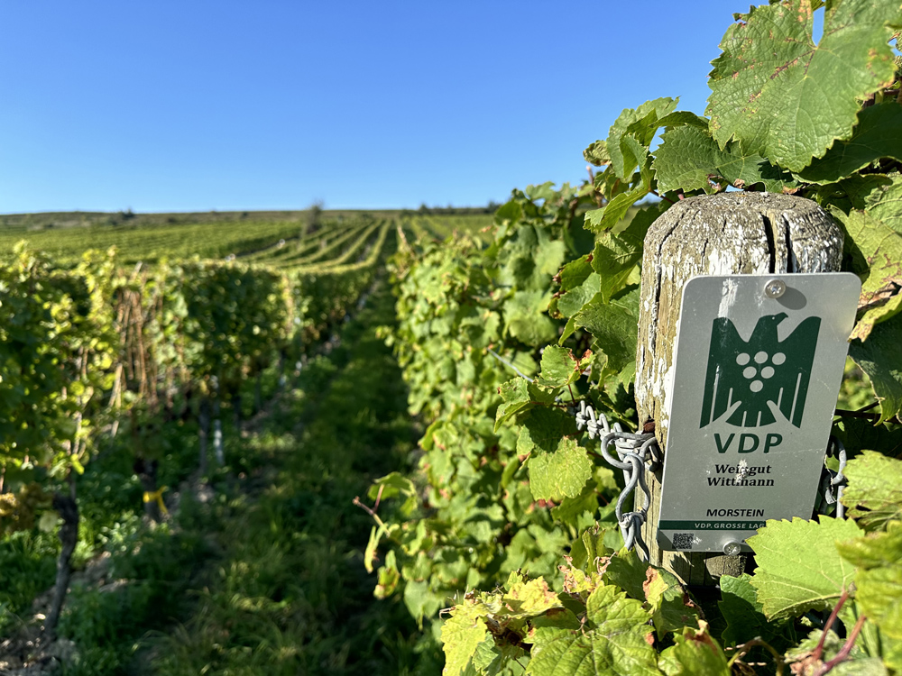 winzertasting weingut wittmann morstein